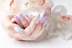 Girl`s hands with delicate purple manicure and orchid flowers