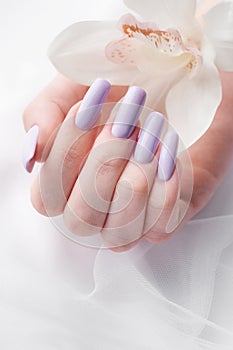 Girl`s hands with delicate purple manicure and orchid flowers