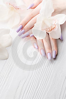 Girl`s hands with delicate purple manicure and orchid flowers