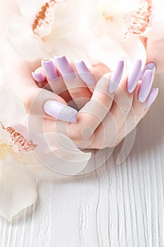 Girl\'s hands with delicate purple manicure and orchid flowers