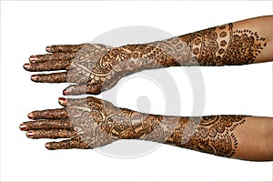 A Girl's Hands with Mehndi-2