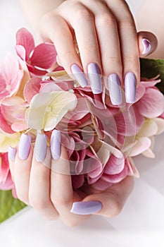 Girl`s hands with a soft purple manicure