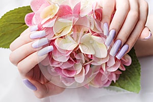 Girl`s hands with a soft purple manicure