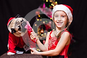 A girl in Santa Claus costume gives a pug to lick a candy cane n