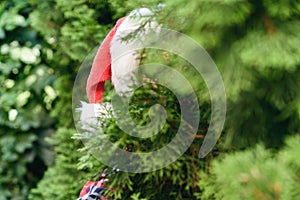 Girl in a santa claus hat hiding behind a christmas tree. Concept.