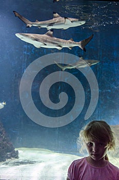 Girl and shark in aquarium