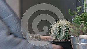 Girl shopping a cactus plant