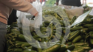 A girl is shopping at a farmer's market, her hands putting cucumbers in a bag.