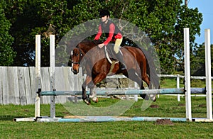 Girl show jumping with pony