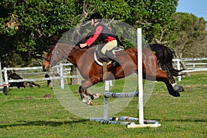 Girl show jumping with pony