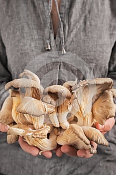 The girl shows a fresh harvest of oyster mushrooms in her hands  close-up  selective focus. Copy space  vertical frame