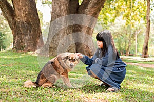 A girl sits with a brown dog in the garden.