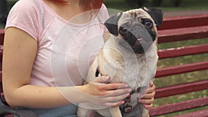 Girl sitting on a bench and stroking her pug