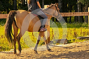 The girl is sitting on a brown horse