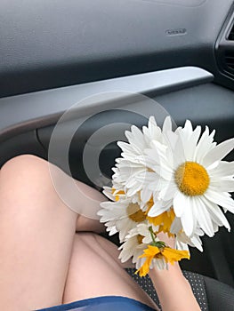 The girl is sitting in the car and holding a bouquet of white camomile flowers