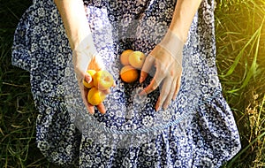 Girl is sitting on the grass in blue vintage dress. Woman is holding apricots. Rustic summer fruit flat lay. Healthy vegetarian