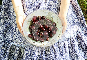 Girl is sitting on the grass in blue vintage dress. Woman is holding cherries. Rustic summer fruit flat lay. Healthy vegetarian