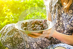 Girl is sitting on the grass in blue vintage dress. Woman is holding cherries. Rustic summer fruit flat lay. Healthy vegetarian