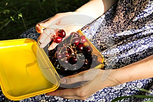 Girl is sitting on the grass in blue vintage dress. Woman is holding lunchbox with cherries. Rustic summer fruit flat lay. Healthy