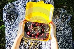 Girl is sitting on the grass in blue vintage dress. Woman is holding lunchbox with cherries. Rustic summer fruit flat lay. Healthy