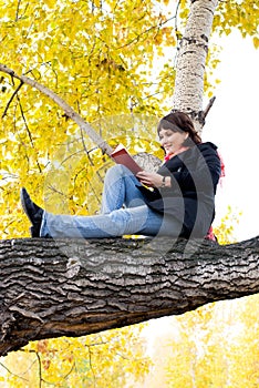 Sul un albero un lettura un libro 