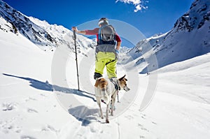 Lyžařského turné v hory pouze její pes na slunný 