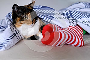 Girl sleeping in bed under a blanket with her cat, red striped socks, the concept of care, healthy, sound sleep, everyday life