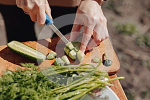 Girl slices vegetables on the board and prepares a salad on the nature. sunny day and cooking. close-up view