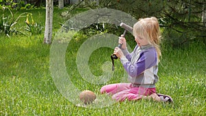 Girl smashes coconut with a heavy iron hammer sitting on the grass. 2