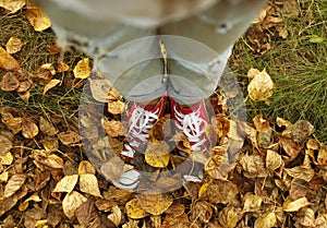 Girl in sneakers standing on autumn leaves. Feet in autumn leave