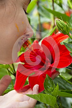 Girl sniffs hibiscus. close - up of a girl`s face inhaling the aroma of a red tropical flower. yellow pollen on the cheek