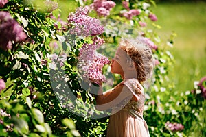 Girl sniffs lilac bushes. blooming gardens