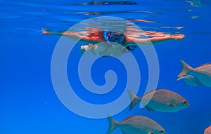 Girl snorkeling