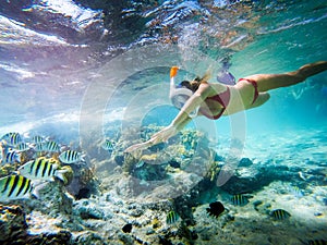 Girl snorkeling in a beautiful lagoon plenty of fish