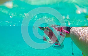 Girl snorkeling at clear waters underwater view Maldives island