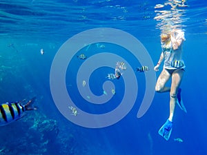 Girl snorkeling among fishes