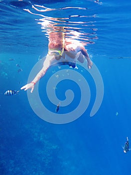 Girl snorkeling among fishes