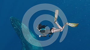 Girl snorkeling with whale, Amazing shot taken on a gopro, Is an Asian freediver swimming next to a magnificent humpback