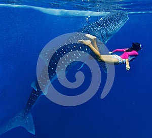 Girl snorkeling with whale shark