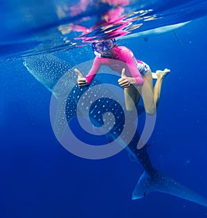 Girl snorkeling with whale shark