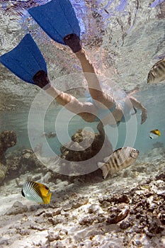 Girl snorkelling in a tropical lagoon - Tahiti