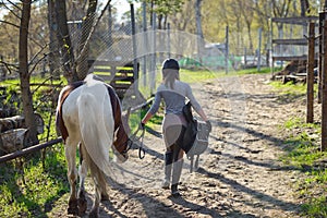 Girl sportswoman and her horse back to the stables after riding