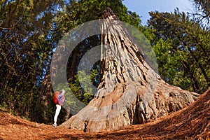 Girl standing near big tree in Redwood California