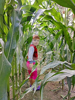 Girl Steps Out Of A Cornfield and Smiles