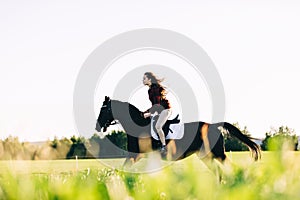 Girl storming through the field on a bay horse