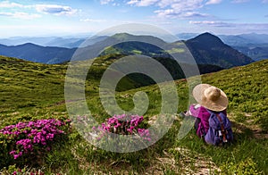 The girl in straw hat and with a back sack is sitting among the bushes of rhododendron flowers. The landscape with the mountains.