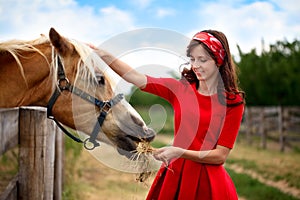 Girl stroked her horse photo