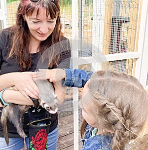 A girl strokes a ferret in her mother`s arms