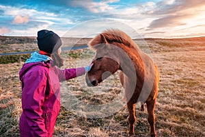 The girl strokes the Icelandic horse