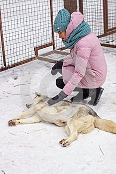 A girl strokes a Siberian Husky dog, which lies on the snow